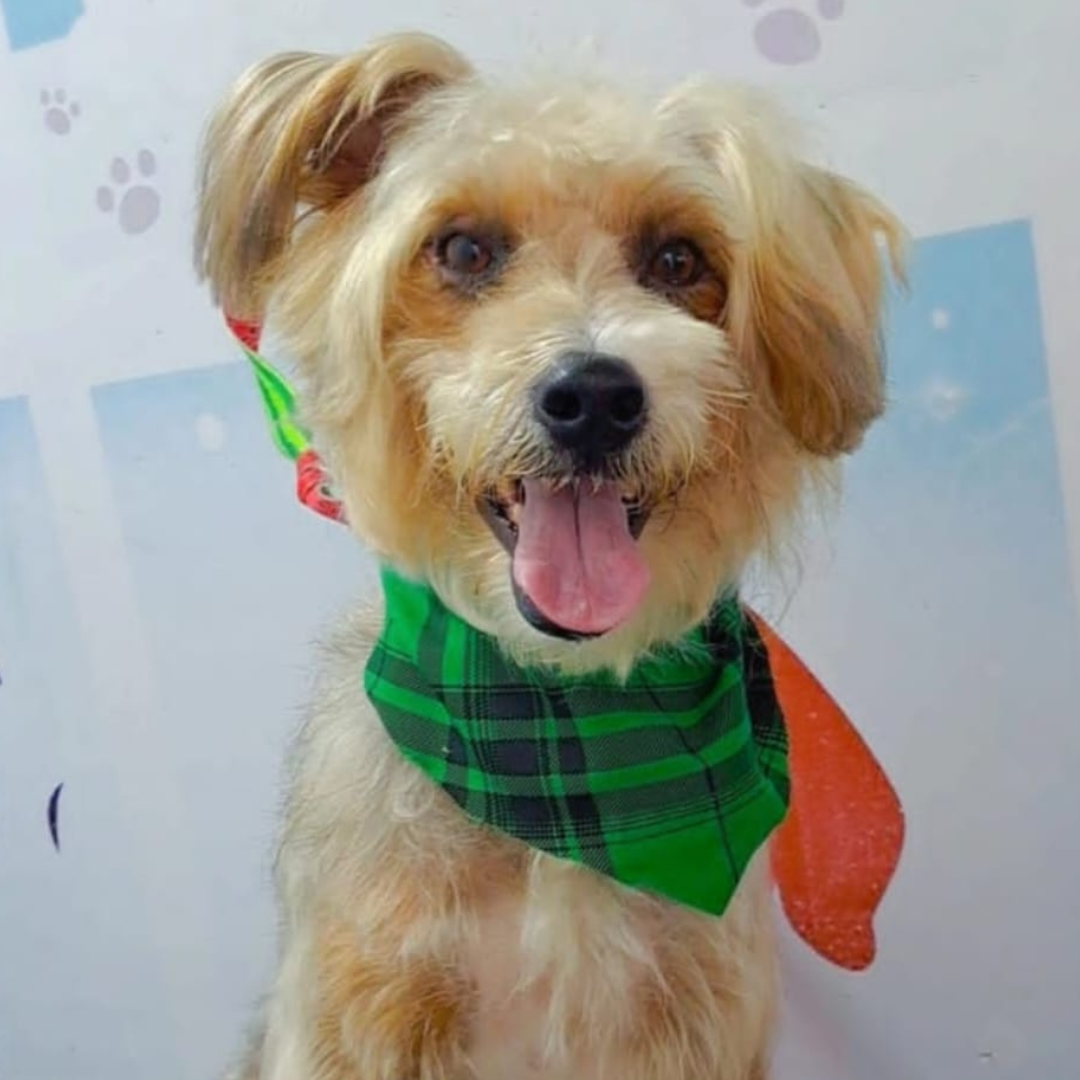 Thor depois do resgate